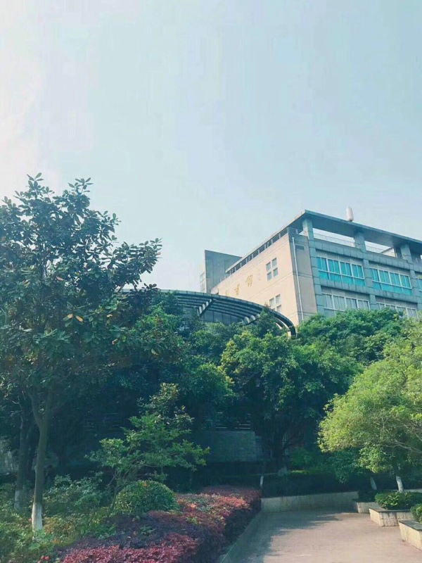 四川城市技师学院2019年招生计划简章